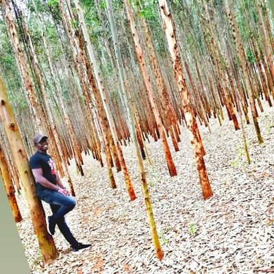 officialwanalo's profile picture. 