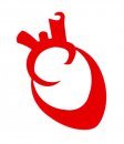 24 Hours Cardiologist  ||  Emergency: 754.1919  ||  Info: 754.5499  ||  Siloam Hospitals Group