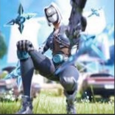 I'm a creative warrior I main bxf
Epic: xXEcho_FNXx
I do 1v1s in PGA or bxf with viewers