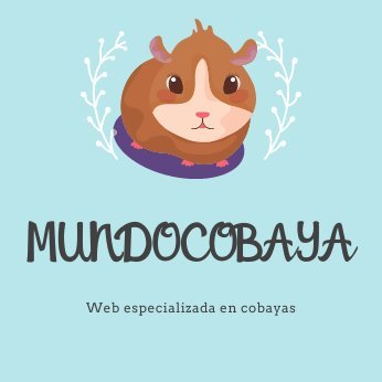 https://t.co/AcPXdS8aHQ tu web sobre los cuidados, alimentación y tipos de las cobayas.