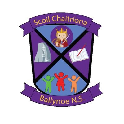 Ballynoe NS👩‍🎓👨‍🎓