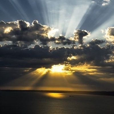 dsoulsearch's profile picture. dawning my own surprises i'll reveal more later im a great listener patient compassionate a deep intensity best things take their time i love tending my garden