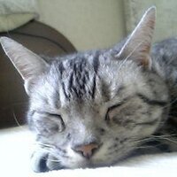 油井雅和 (@yuimasakazu) 's Twitter Profile Photo