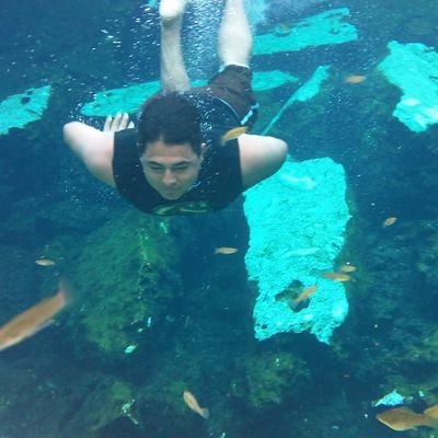 Internacionalista, especialista en Ecología, Capacitador de Profesión, Beisbolista de Religión, Muy orgulloso de ser Mexicano.