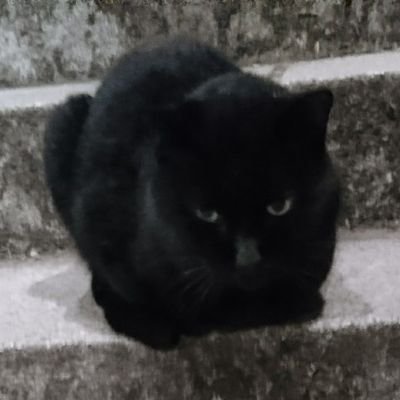 entaenta8877's profile picture. 