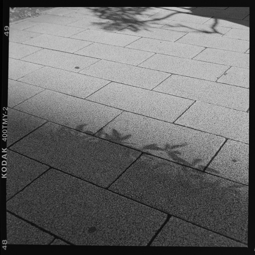 カメラや写真関連の仕事してます。