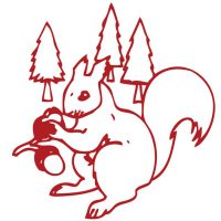 🐿🌲The Academy of Cuxton Schools🌈 (@cuxton_schools) 's Twitter Profile