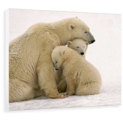 RobbinsDesi's profile picture. Animals are special and I respect all life. Love and live life and everything around us.