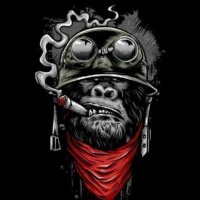 Monkey™(@ChilliKong) 's Twitter Profile Photo