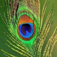 Preet (@preet85912817) 's Twitter Profile Photo Preet (@preet85912817) 's Twitter Profile Photo