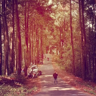 HeryIra56640208's profile picture. kang tidut