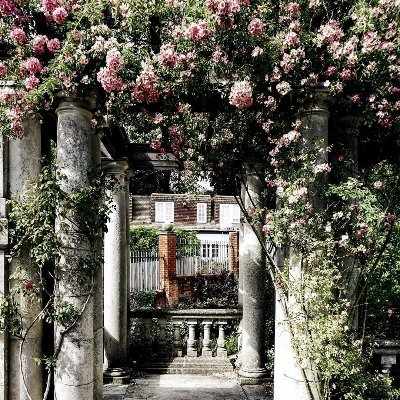 1peaceloveunity's profile picture. 