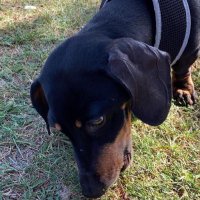 Bunnison (@bunnison1) 's Twitter Profile