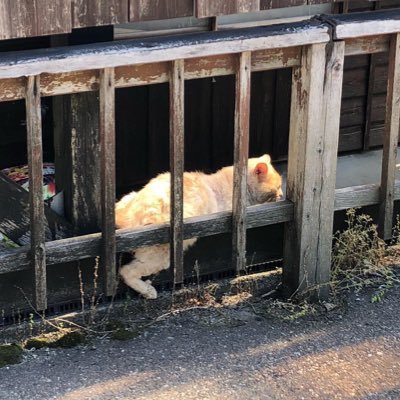 061205A's profile picture. 