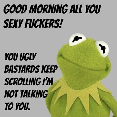 Beepbee24225542's profile picture. beepbeepboop, I have many old accounts but they also have old passwords🥴 so here I am again for the shitshow they call twitter