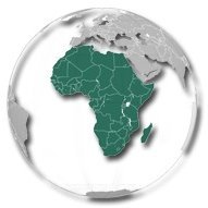 A European-African network for strengthening the regulatory capacity for clinical research and pharmacovigilance in Central Africa. An EDCTP-funded project.