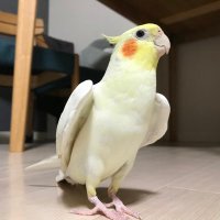 もっちゃんとタカツキ (@takatsukitas) 's Twitter Profile