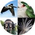 ProfessorFinnerty (@prof_finnerty) Twitter profile photo ProfessorFinnerty (@prof_finnerty) Twitter profile photo