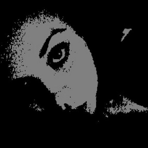 Nikoolee_24's profile picture. 