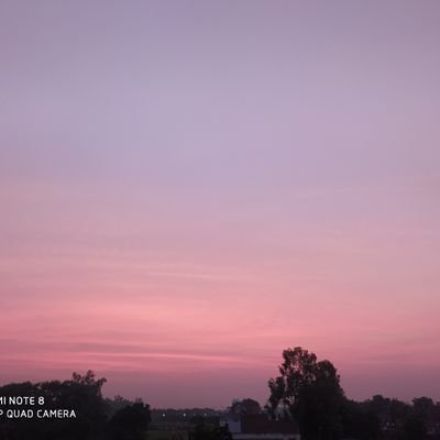 Abhinav55054750's profile picture. cricket lover🏏, musicholic 🎼