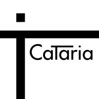 Cataria (@cataria2020) 's Twitter Profile Photo