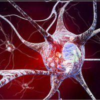 Applied Parkinson’s Research Group (@aprg_plymouth) 's Twitter Profile