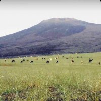 عبدالكريم (@abdulkareemfal1) 's Twitter Profile