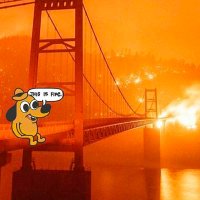 Our home is on fire, but that's OK, apparently (@thedeedeebg) 's Twitter Profile
