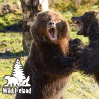 Wild Ireland(@WildIreland2) 's Twitter Profileg