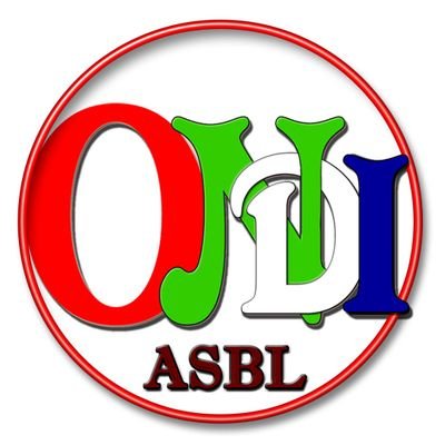 ONDI ASBL :
Lutte pour le bien-être des vulnérables (mères et Enfants), l'agriculture, la formation en informatique, installation d'antennes; la santé, ...