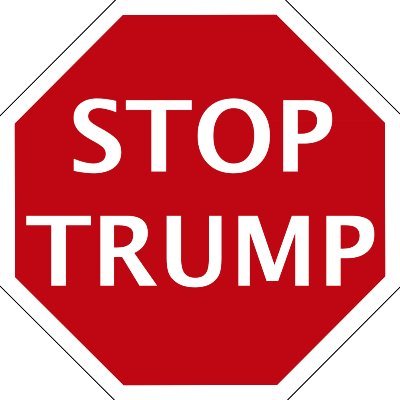 Dedicated to stopping the most corrupt president ever from stealing the 2020 election; will retweet all helpful posts. #StopTrumpsElectionTheft #VoteHimOut