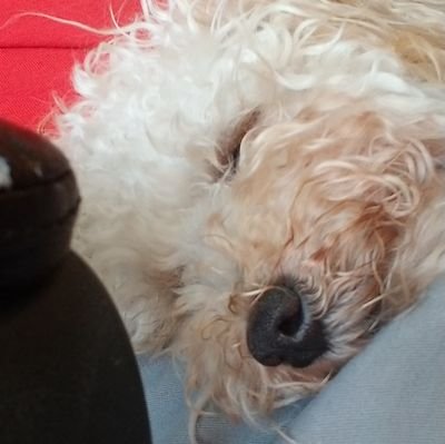 ra2tenK's profile picture. Dad, RA Warrior