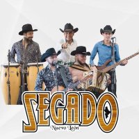 Grupo Segado(@GrupoSegado) 's Twitter Profile Photo