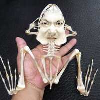 Chapman (@misonicomi_udon) 's Twitter Profile