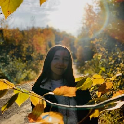 Alexand74000385's profile picture. 