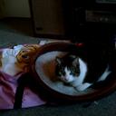 Janelle Larson - @andy4evertrue - Twitter