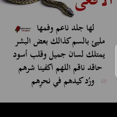 majidita10's profile picture. 