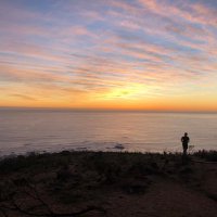 Dave Kempe (@kempedave) 's Twitter Profile