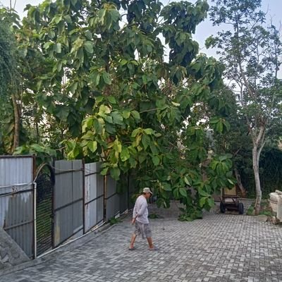 AdilZenSyah1's profile picture. selalu dibutuhkan semangat untuk terus maju dan berkembang