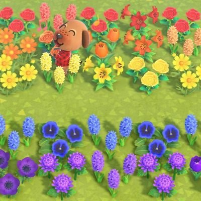 this is my animal crossing account,I run a disscord too under the same name🏝❤🧡💛💚💙💜