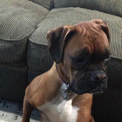 Jnoone10's profile picture. 