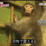 9vHVq4iyonpUiXU's profile picture. 20卒アラサー野郎　楽しく生きること目標(今は楽しくない)