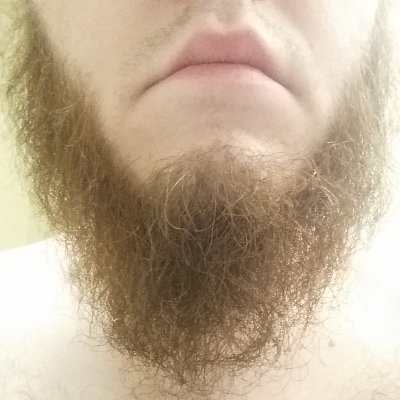 I'm Hank. 33. I'm hairy and I sweat a lot. 18+ only. Fetish artist/performer. Might bully you for fun. Will definitely bully you for money.