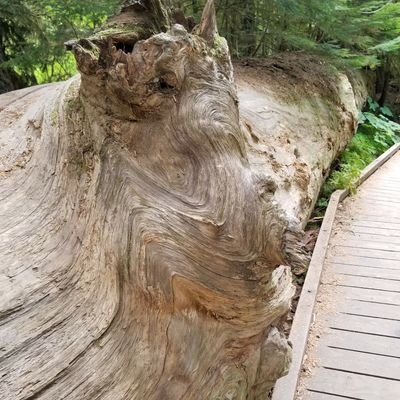 Cloudhopper13's profile picture. 