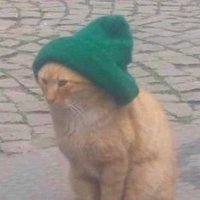 sam_i_guess (@samueldittman) 's Twitter Profile
