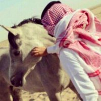سهم الجوف (@za1er) 's Twitter Profile