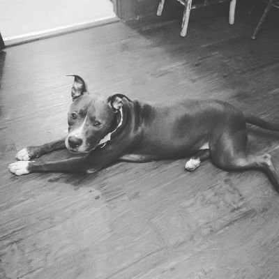 Uncle_P70's profile picture. OWENS CONSULTING SERVICES