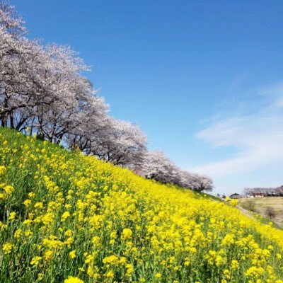 流山市の観光情報を発信します