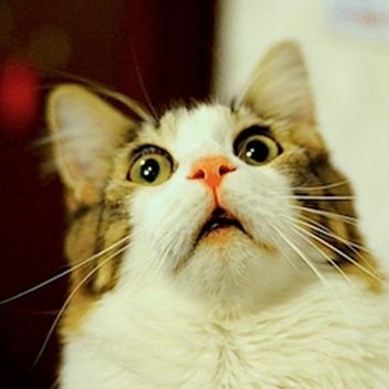 Plmoleonely's profile picture. Hi