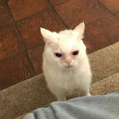 Matt_5321's profile picture. eee messi